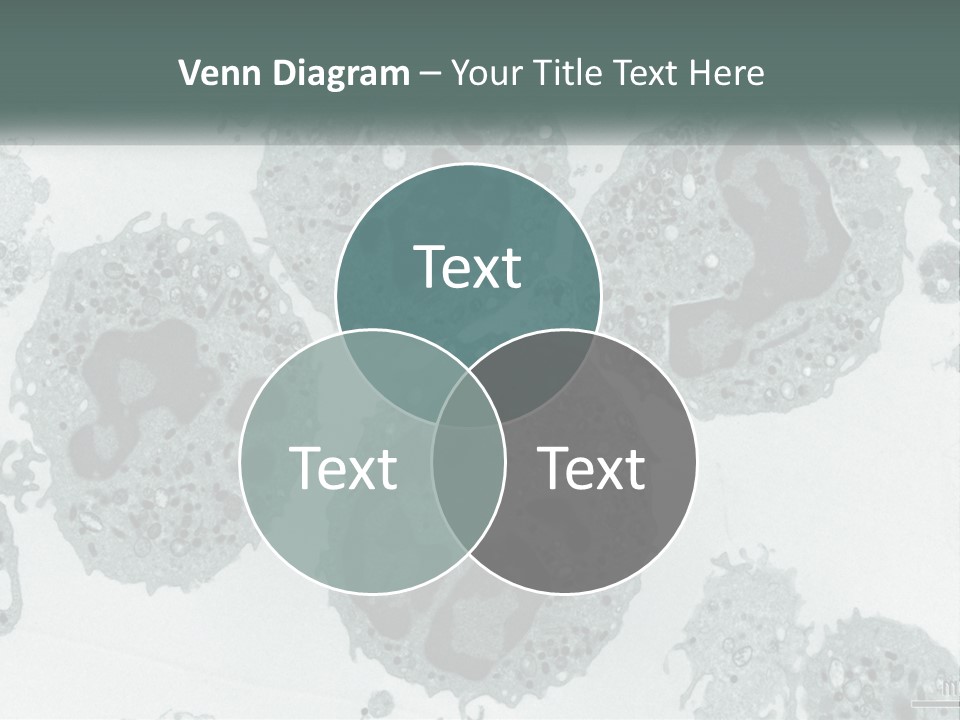 Caucasian Water Older PowerPoint Template