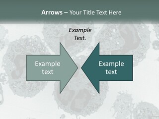 Caucasian Water Older PowerPoint Template