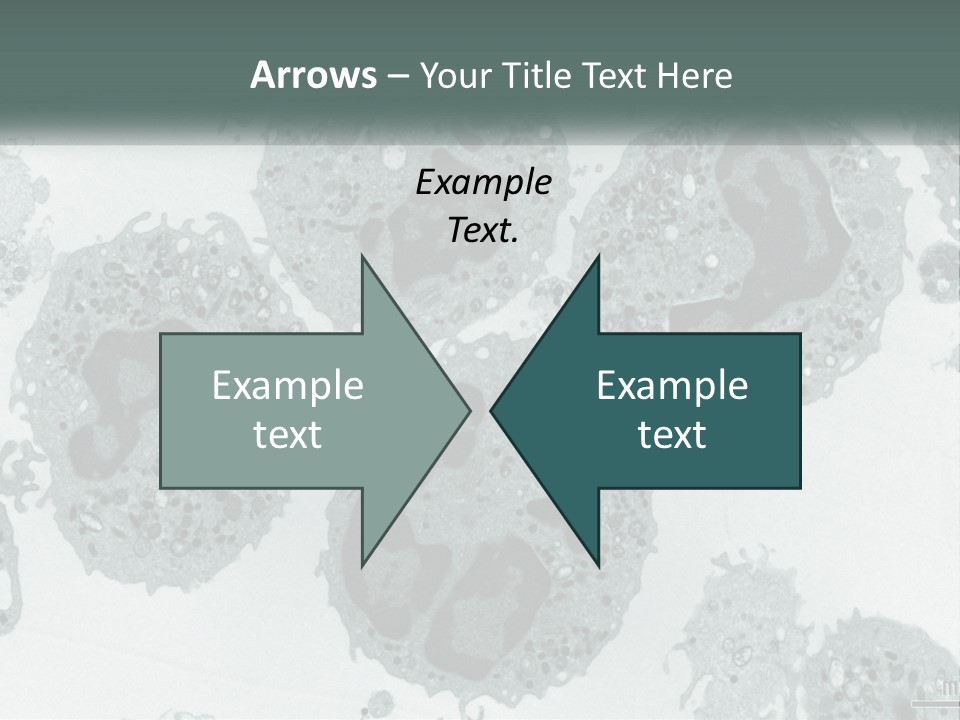 Caucasian Water Older PowerPoint Template