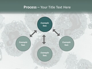 Caucasian Water Older PowerPoint Template