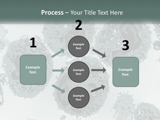 Caucasian Water Older PowerPoint Template