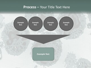 Caucasian Water Older PowerPoint Template