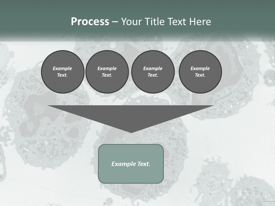 Caucasian Water Older PowerPoint Template