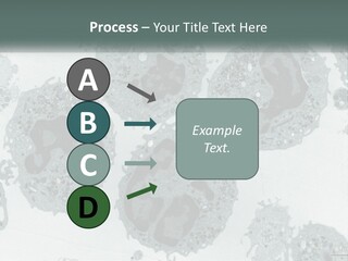 Caucasian Water Older PowerPoint Template