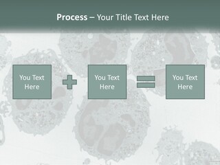 Caucasian Water Older PowerPoint Template