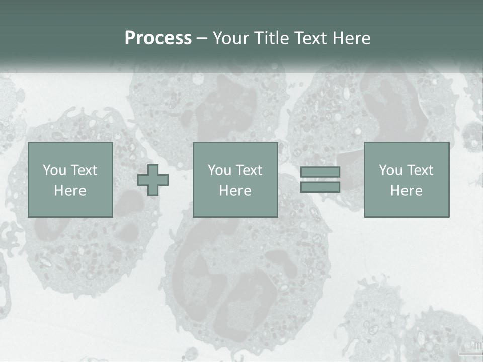 Caucasian Water Older PowerPoint Template