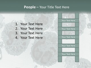 Caucasian Water Older PowerPoint Template