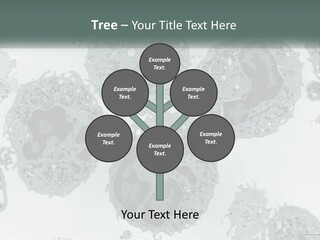 Caucasian Water Older PowerPoint Template