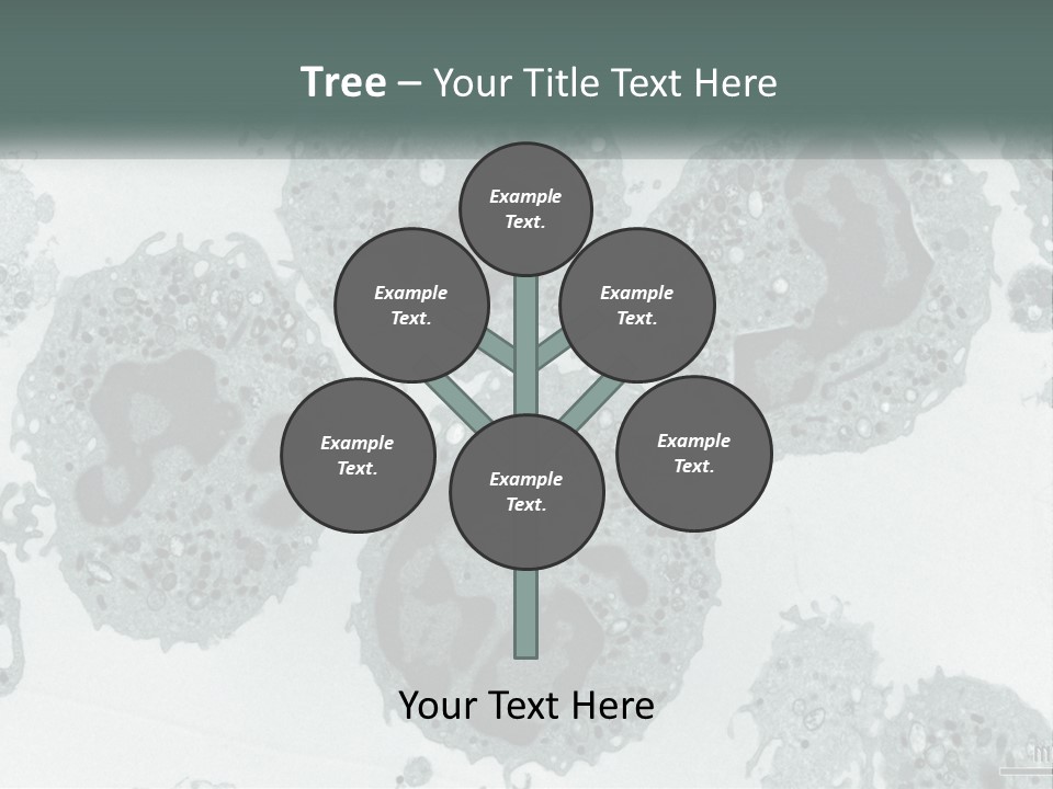 Caucasian Water Older PowerPoint Template