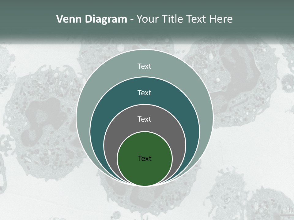 Caucasian Water Older PowerPoint Template