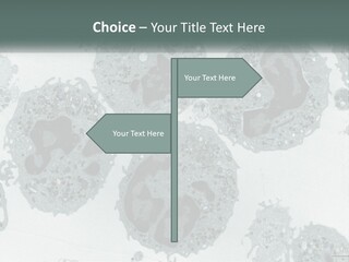 Caucasian Water Older PowerPoint Template