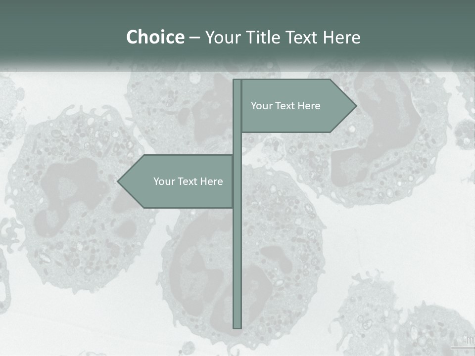 Caucasian Water Older PowerPoint Template