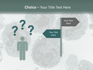 Caucasian Water Older PowerPoint Template