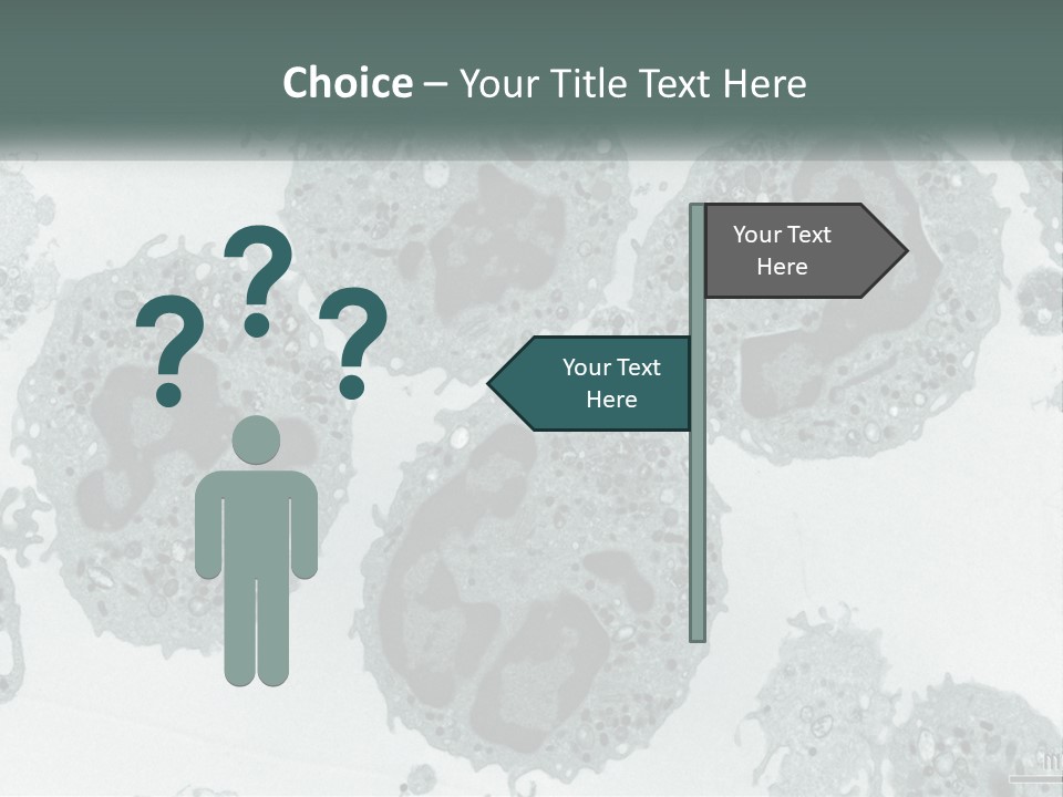 Caucasian Water Older PowerPoint Template