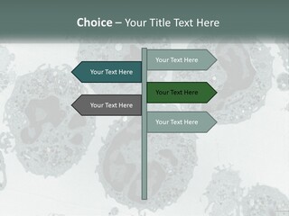 Caucasian Water Older PowerPoint Template