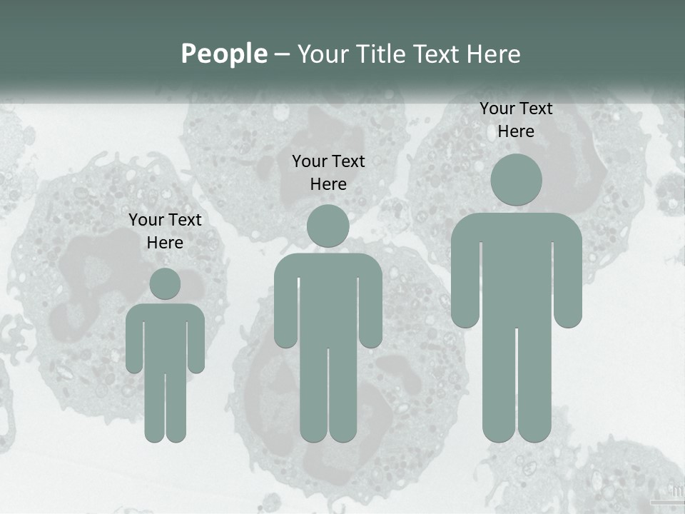 Caucasian Water Older PowerPoint Template