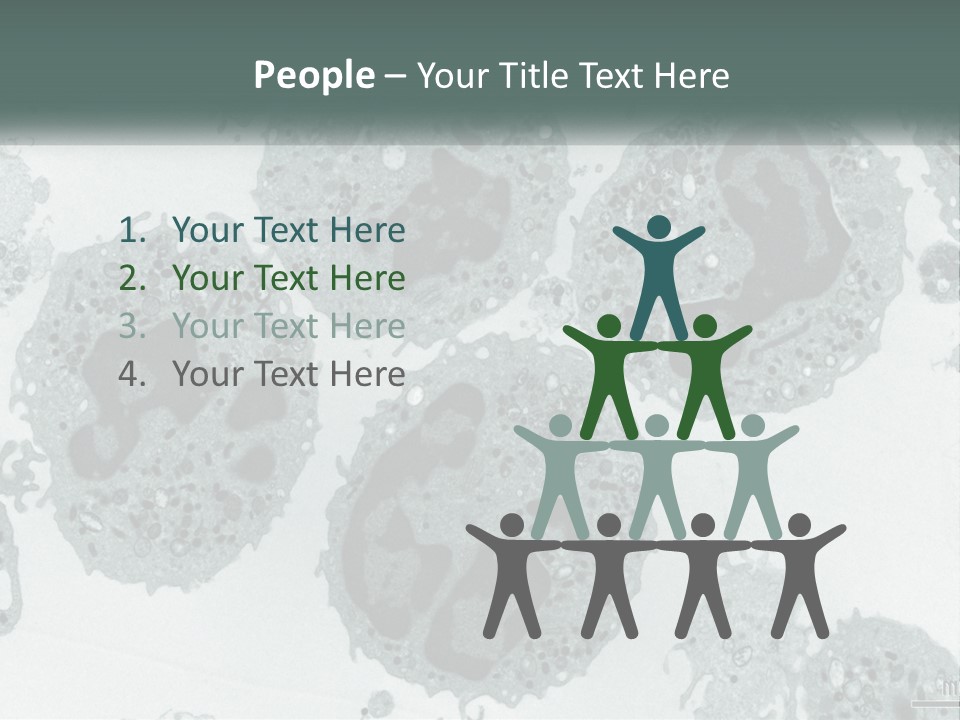 Caucasian Water Older PowerPoint Template