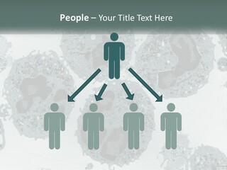 Caucasian Water Older PowerPoint Template