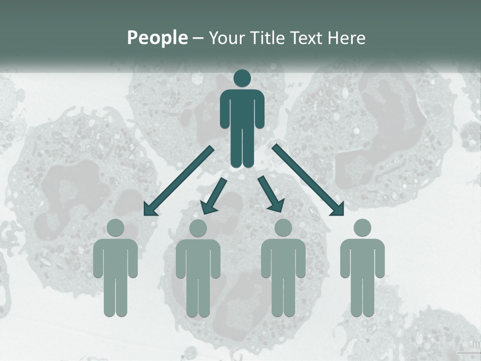 Caucasian Water Older PowerPoint Template