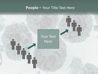 Caucasian Water Older PowerPoint Template