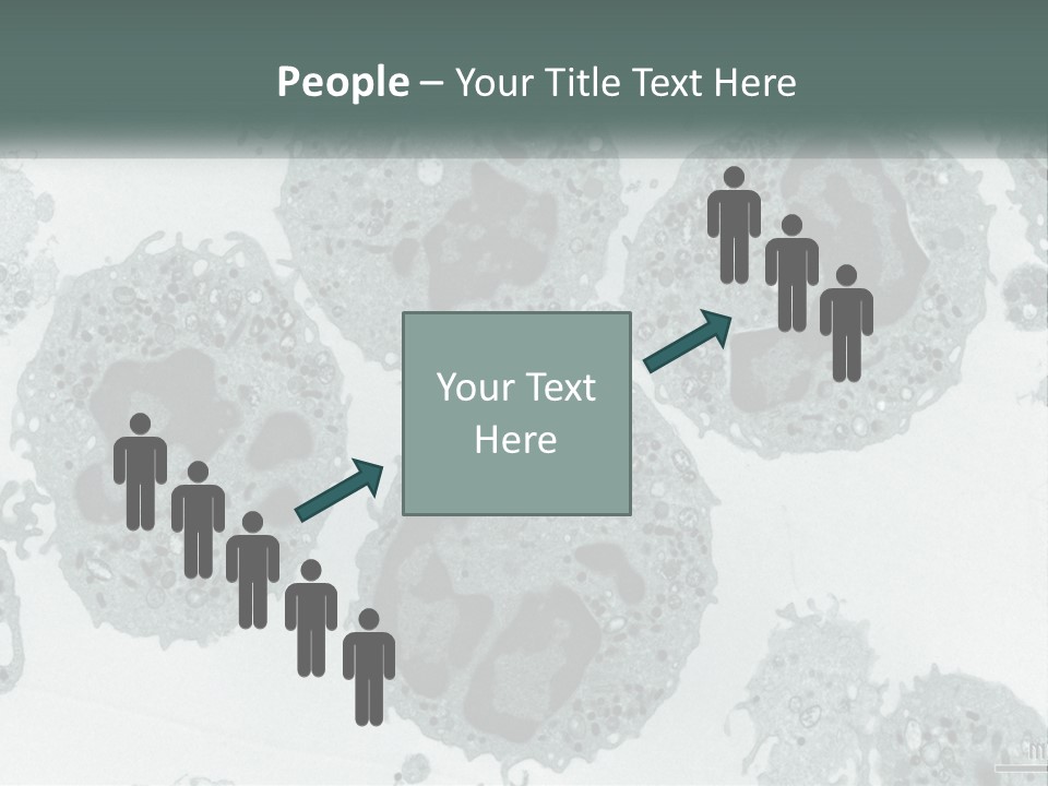 Caucasian Water Older PowerPoint Template