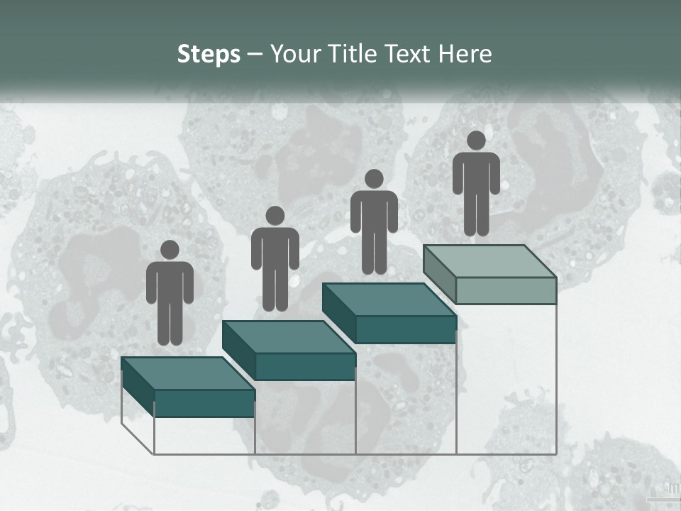 Caucasian Water Older PowerPoint Template