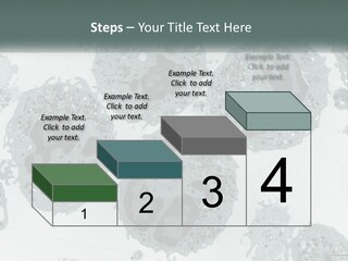 Caucasian Water Older PowerPoint Template