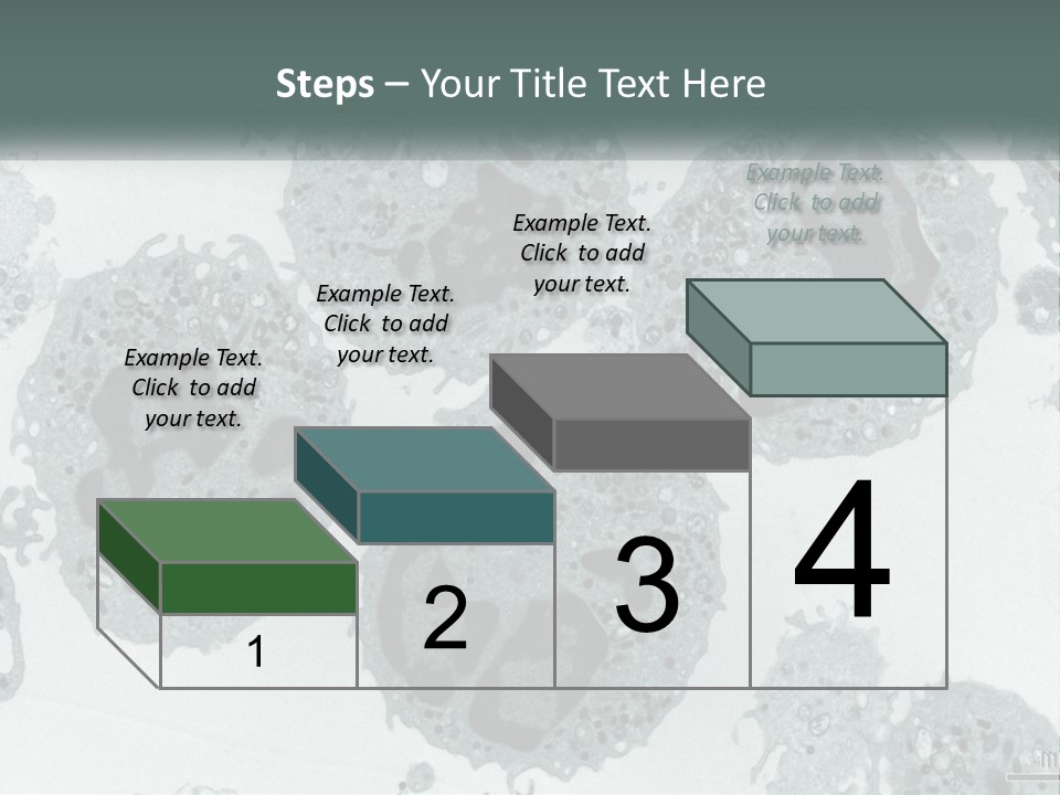 Caucasian Water Older PowerPoint Template
