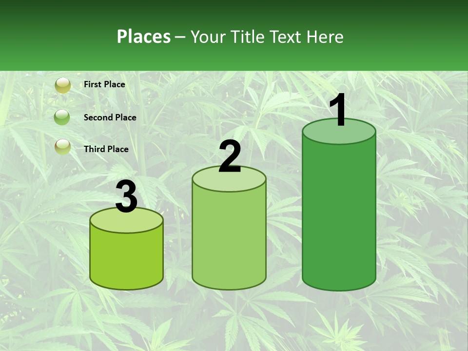 Old Parent Older PowerPoint Template