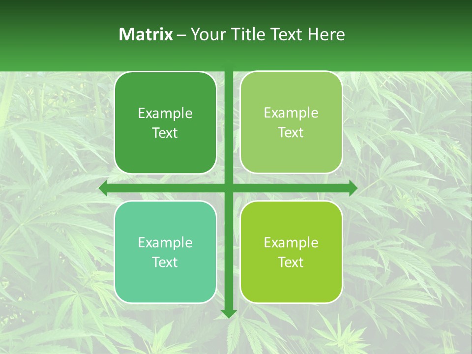 Old Parent Older PowerPoint Template