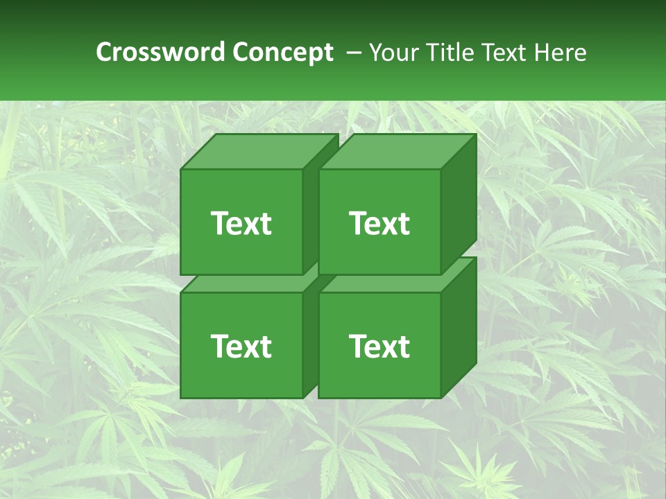 Old Parent Older PowerPoint Template