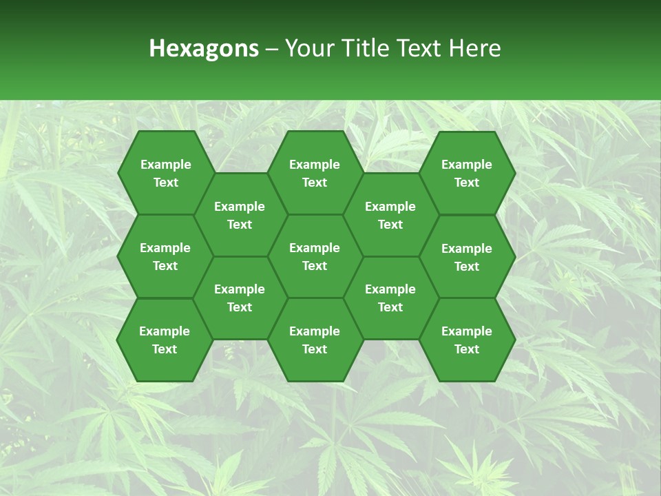 Old Parent Older PowerPoint Template