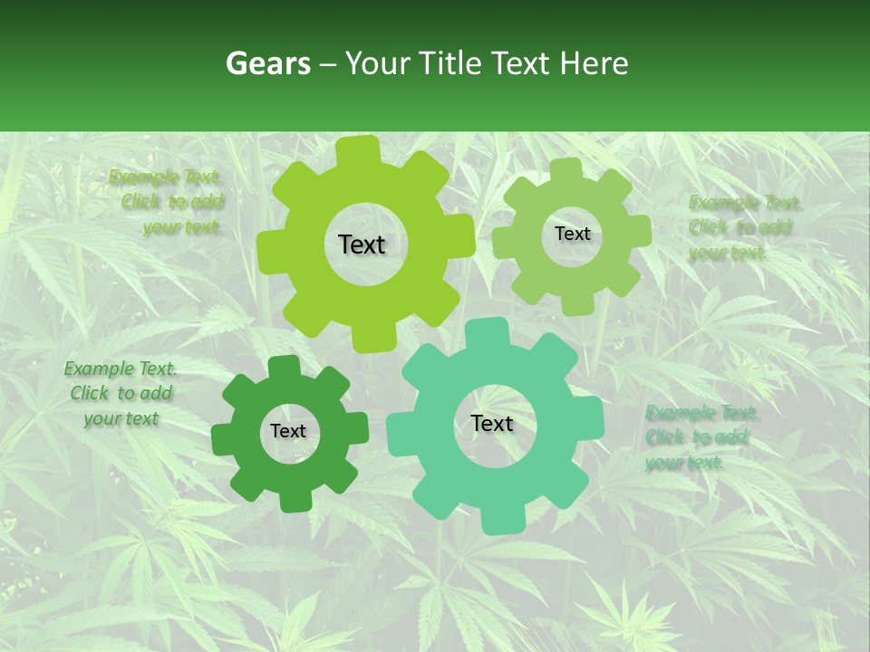 Old Parent Older PowerPoint Template