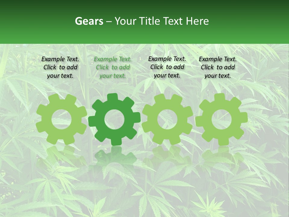 Old Parent Older PowerPoint Template