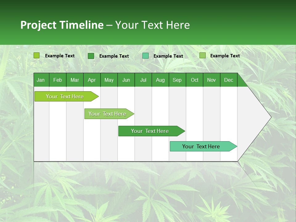 Old Parent Older PowerPoint Template