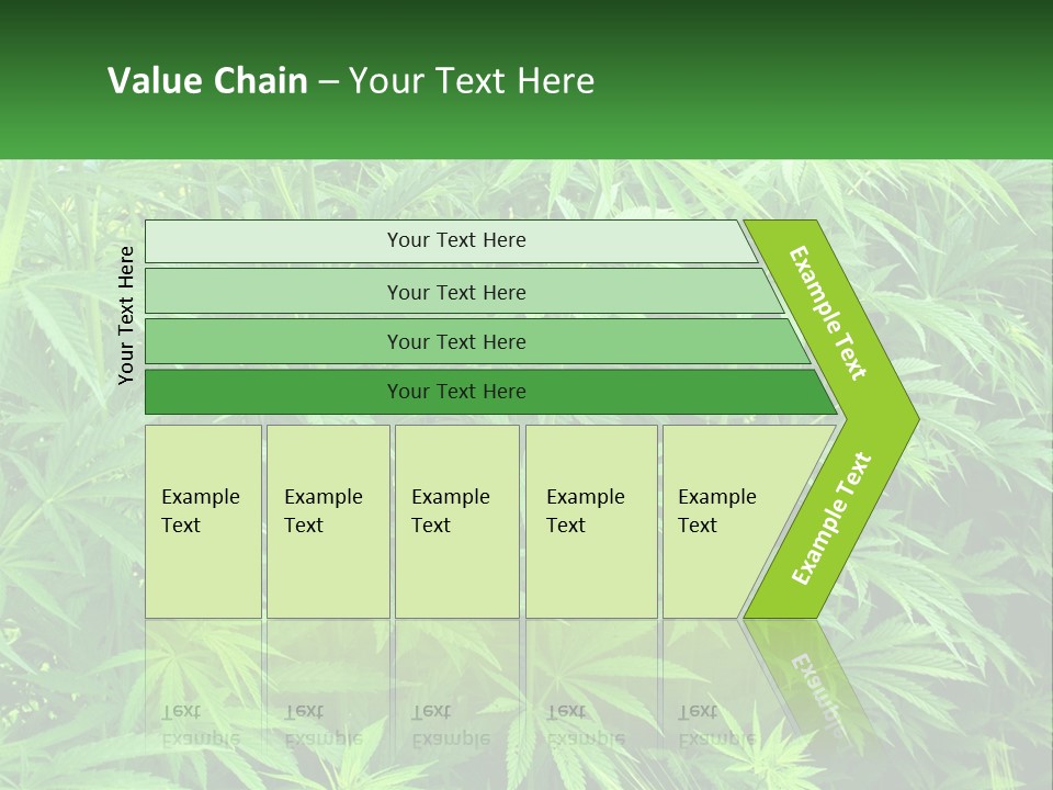 Old Parent Older PowerPoint Template