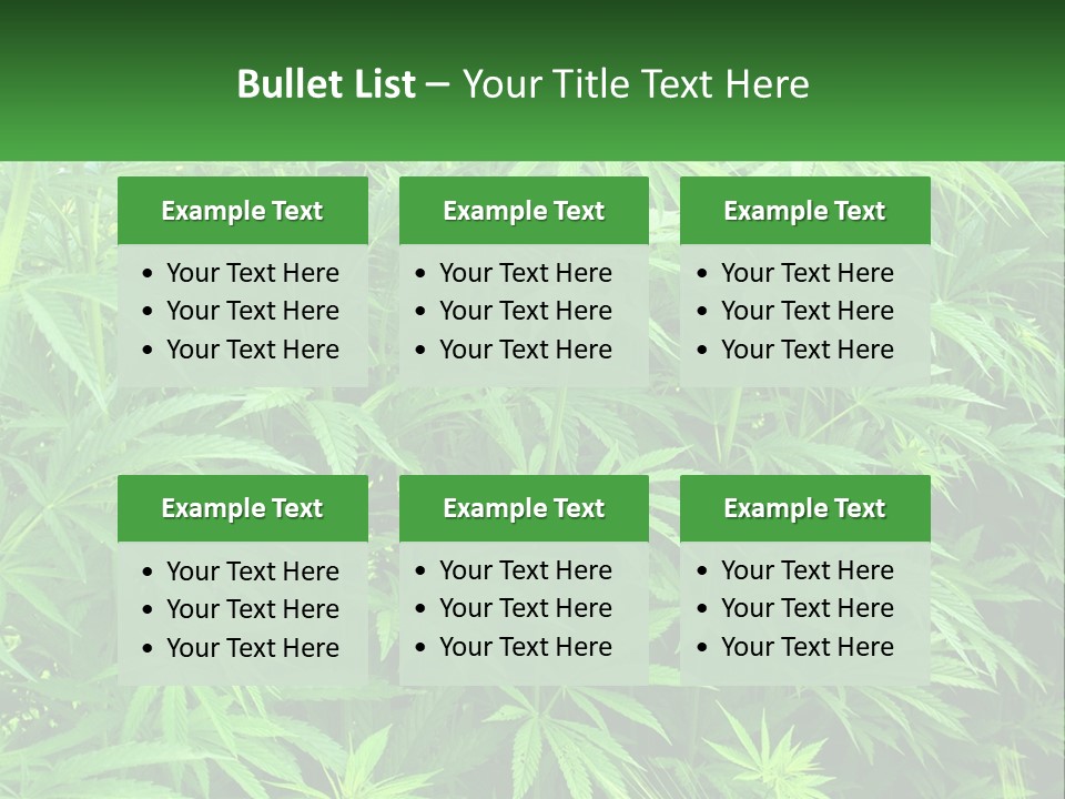 Old Parent Older PowerPoint Template