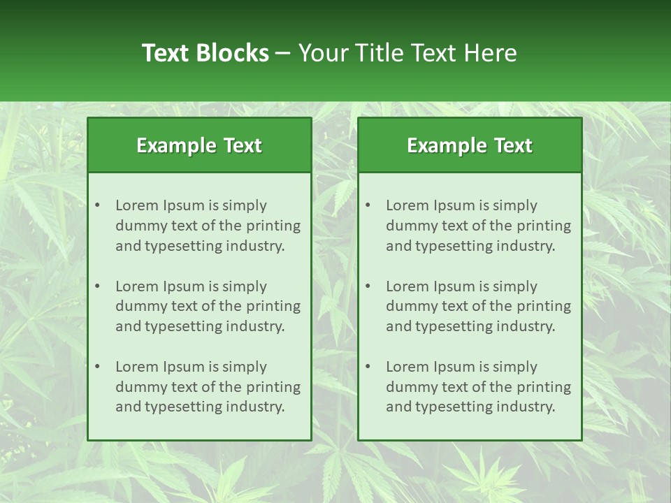 Old Parent Older PowerPoint Template