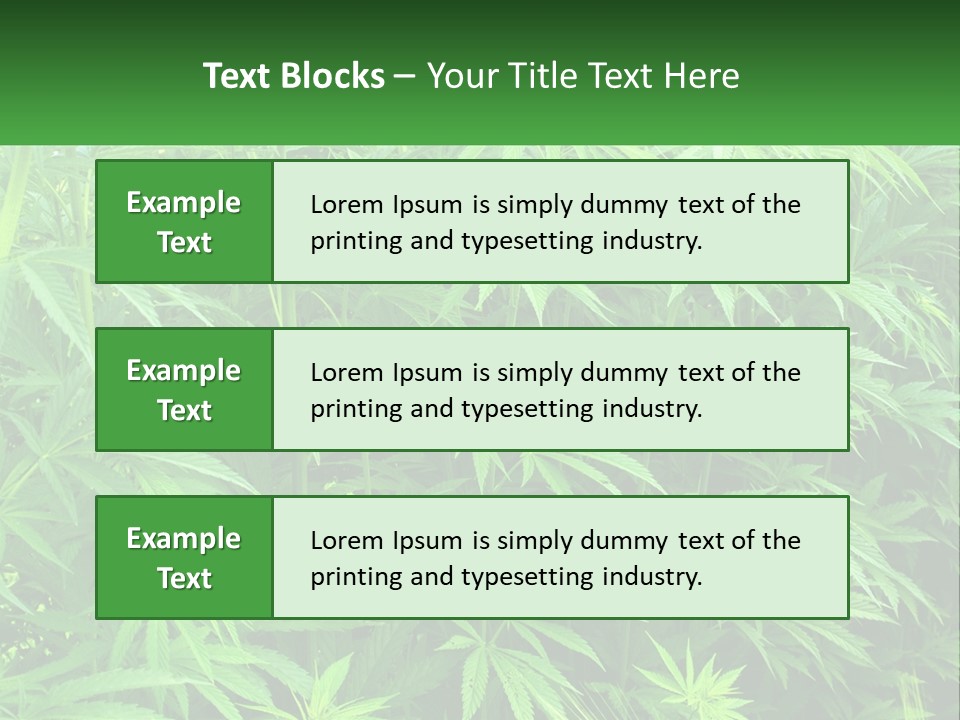 Old Parent Older PowerPoint Template