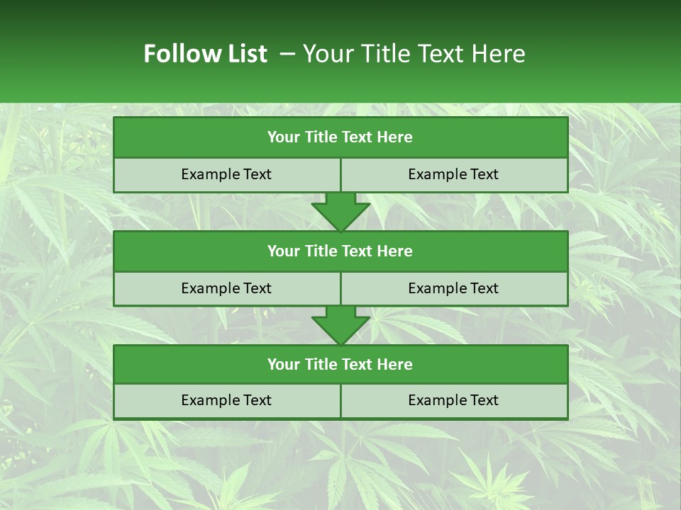 Old Parent Older PowerPoint Template