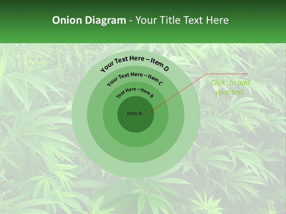 Old Parent Older PowerPoint Template