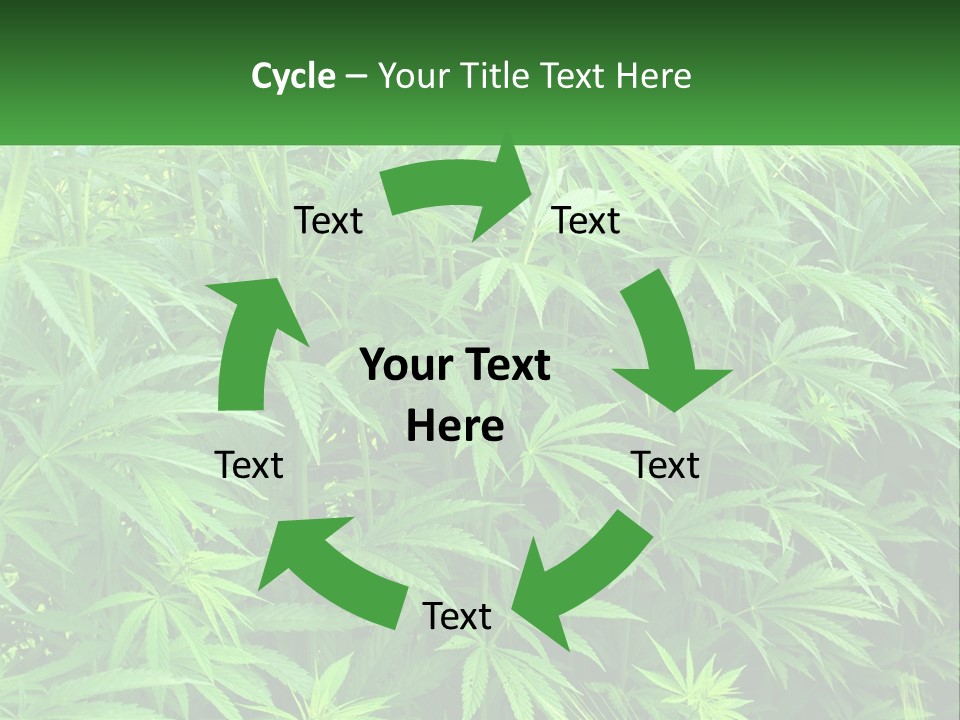 Old Parent Older PowerPoint Template