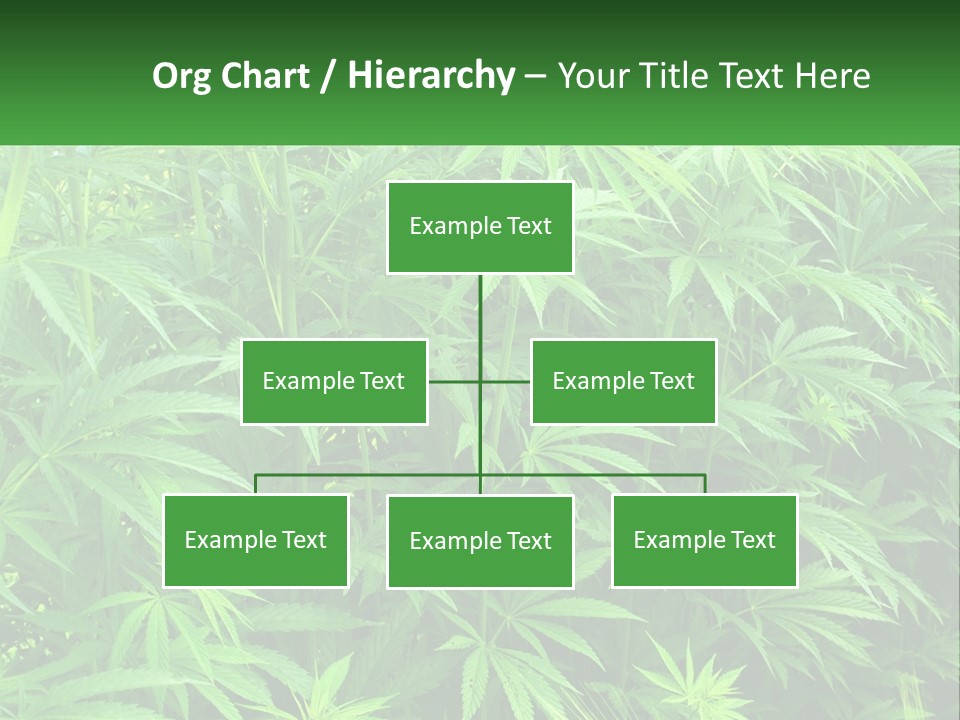 Old Parent Older PowerPoint Template