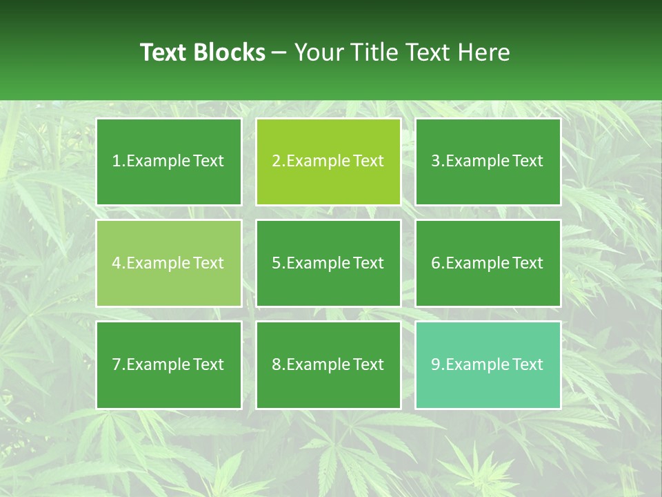 Old Parent Older PowerPoint Template