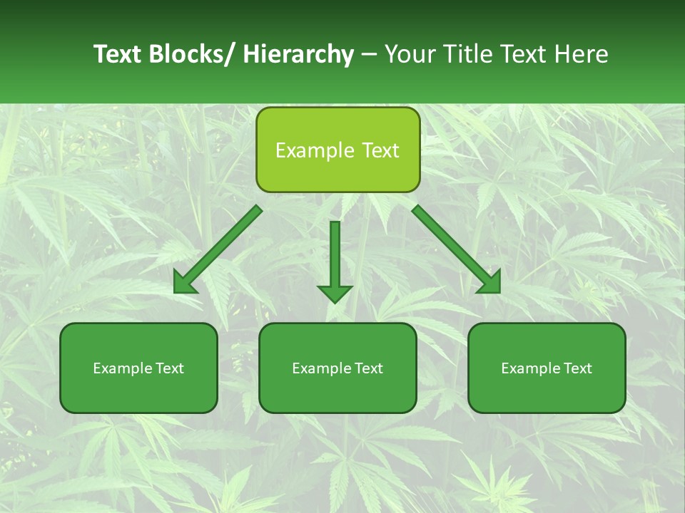 Old Parent Older PowerPoint Template