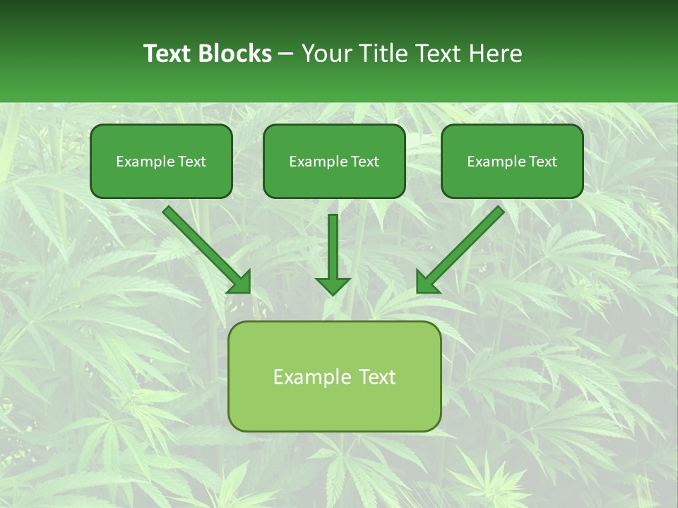 Old Parent Older PowerPoint Template