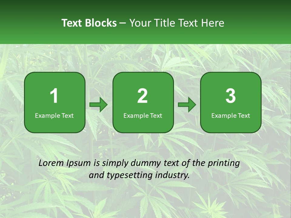 Old Parent Older PowerPoint Template