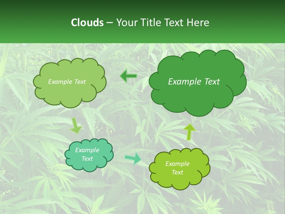 Old Parent Older PowerPoint Template