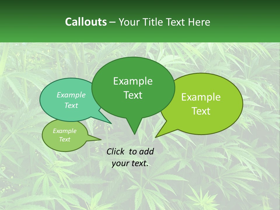 Old Parent Older PowerPoint Template