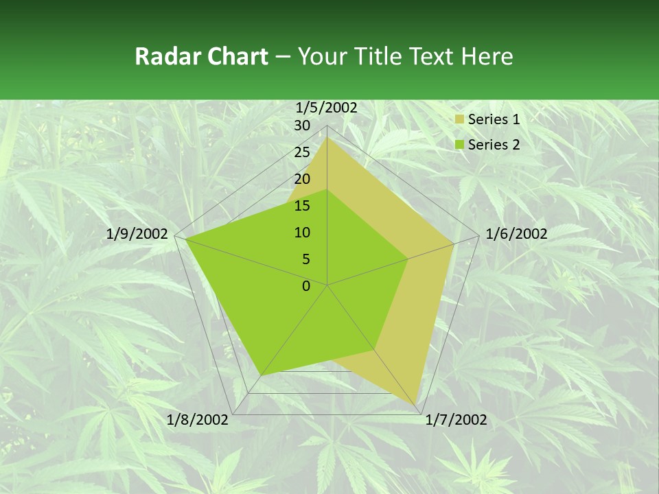 Old Parent Older PowerPoint Template